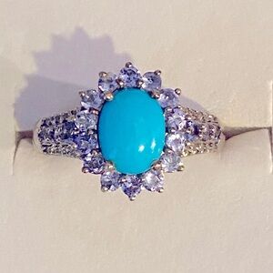 Sleeping Beauty Turquoise with Tanzanite Sunburst in Platinum Over 925 Silver